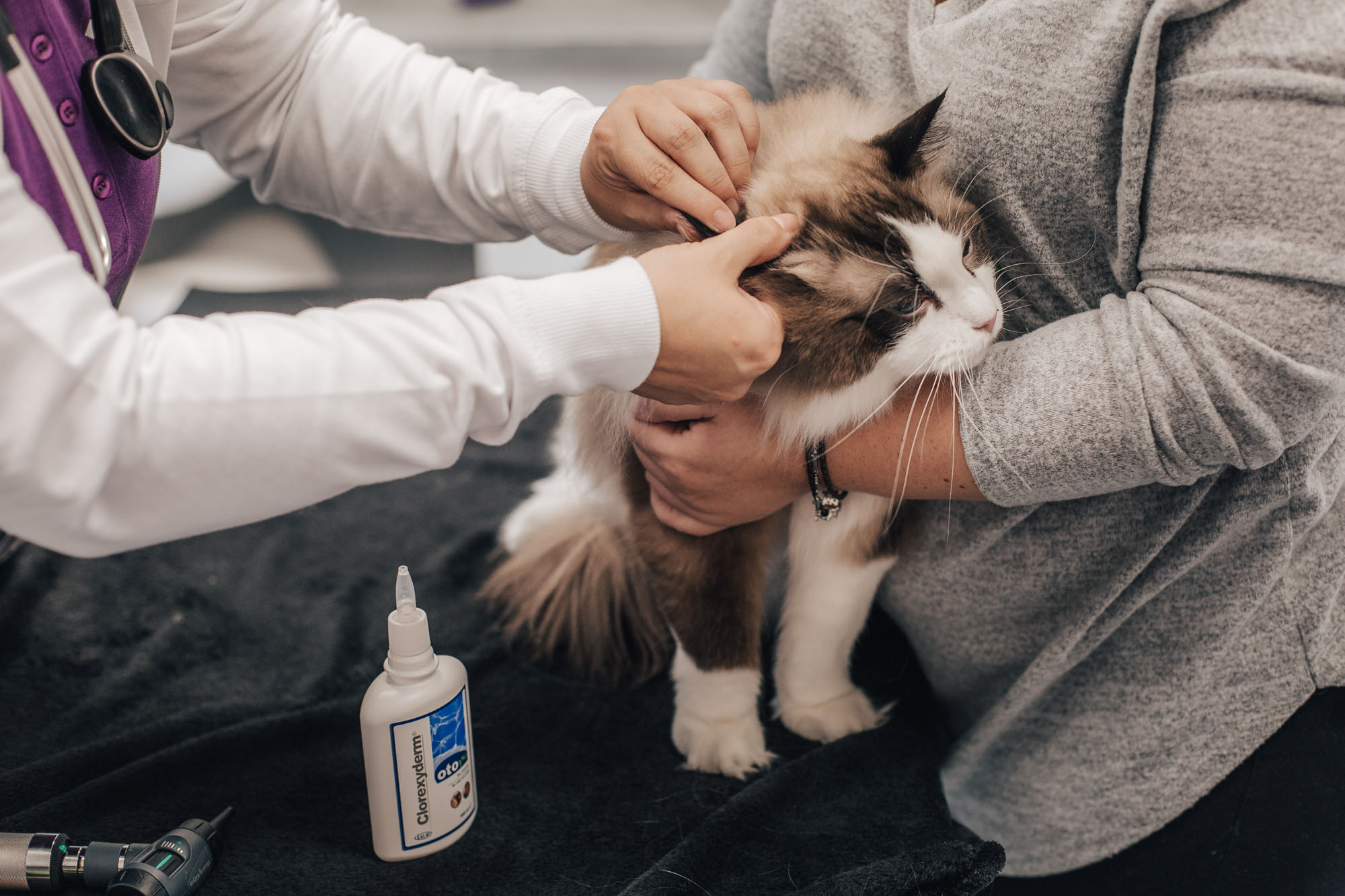 DIAMONA-CLINIC1-web-19